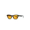 Cat Eye Renkli Camlı Unisex 3'lü Güneş Gözlüğü Seti